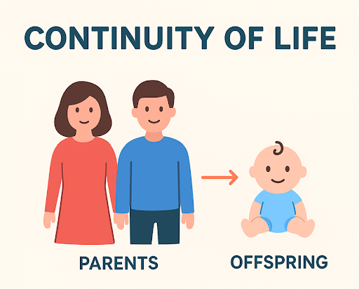 Powerplay Edu Lab - continuity of life
