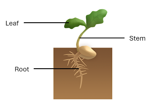 Powerplay Edu Lab - Plant System