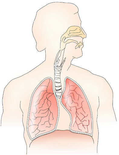 Powerplay Respiratory System
